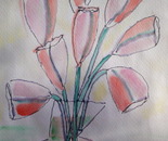 mijn tulpen vandaag
