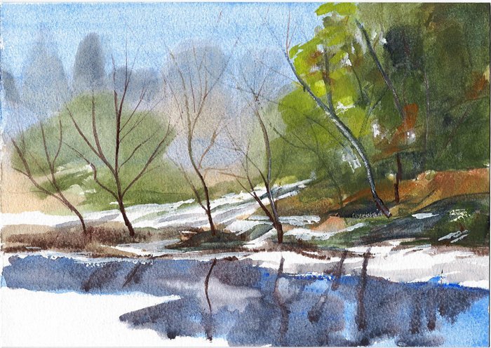Winters Frozen Stream
