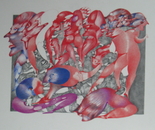 metamorphia 23