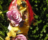 Amorilia