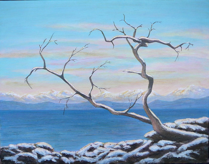 Garry Oak