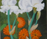 Lacy Snowflake Iris 