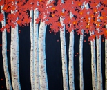 Flame Tree