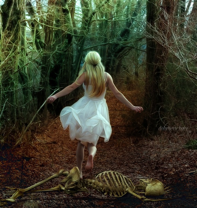 "New start" by: dobrijevic borg 