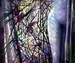 White Light ~ Beyond Love VIII