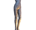 Venus