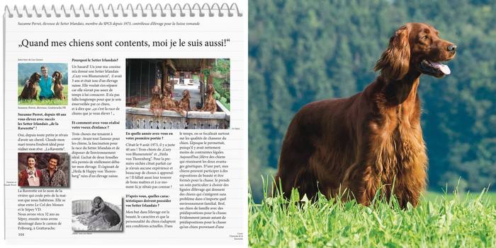 Setter & Pointer Club Switzerland - book