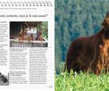 Setter & Pointer Club Switzerland - book