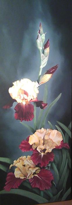 "Gayles Irises"