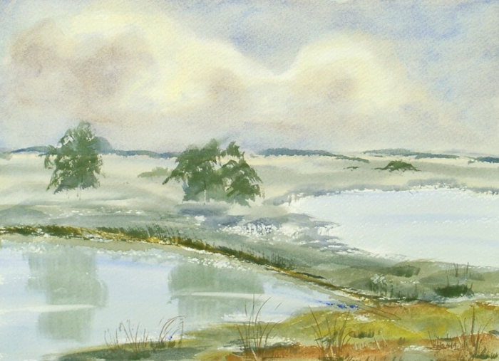 landscape 625