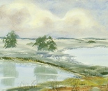 landscape 625