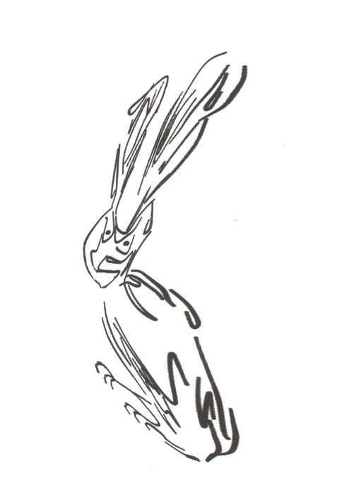surreal drawing 57