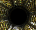 oil lamp
