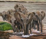 Crossing the River 