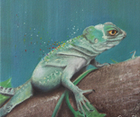 Lizard