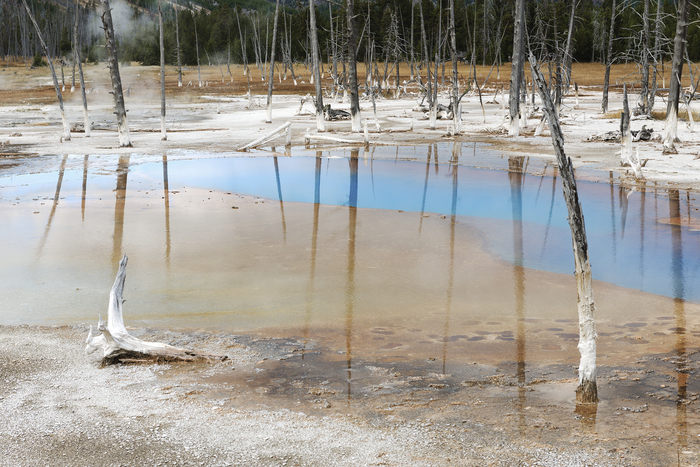 Black Sand Geyser Basin