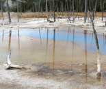 Black Sand Geyser Basin
