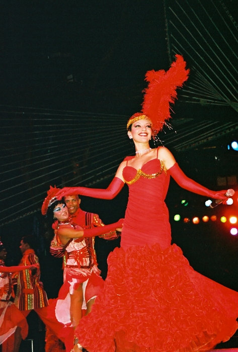 Lady in Red I