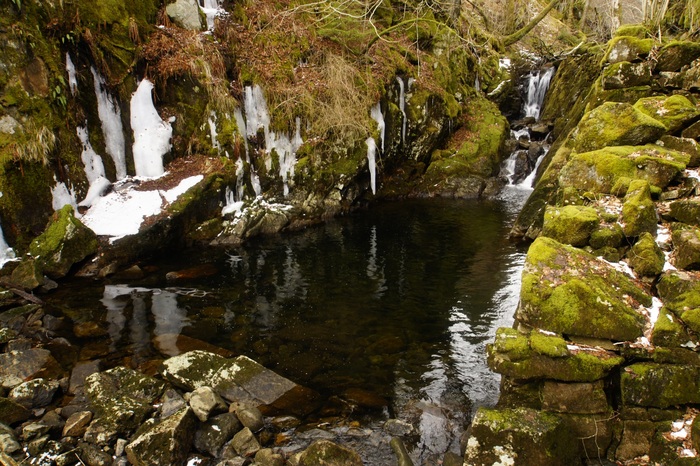 bridal creek