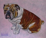 BULLDOG SERIES II
