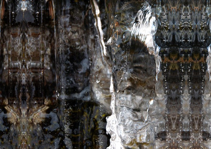 Face in the icetap