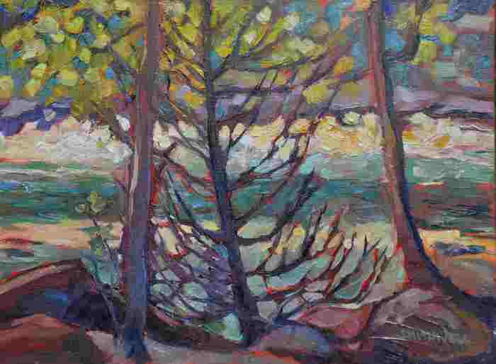 Gull River