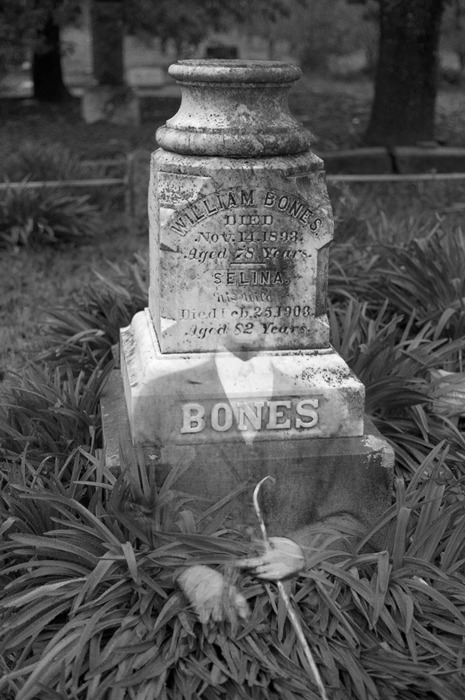 Bones