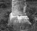 Bones