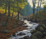Journey into fall