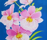 Pink Orchids