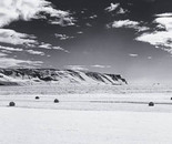 One Cow, Thirteen Hay Bales; Iceland