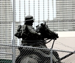 the unshakeable horseman