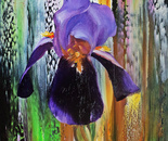 DIVINE IRIS FLOWERS