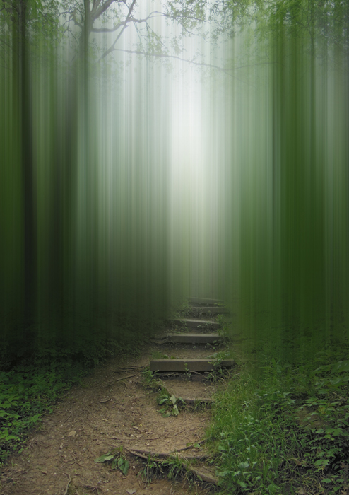 Let The Others Follow