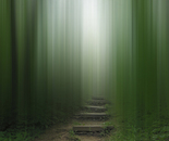 Let The Others Follow