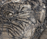 Lava Beds-13