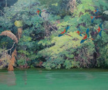Araras -  Uatumã river