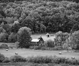 FARM HOUSE IN FIELD