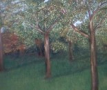 trees