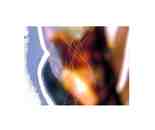 Evoke 1 = Photo-Graph no 35