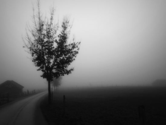 Perfect Sense III