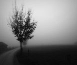 Perfect Sense III