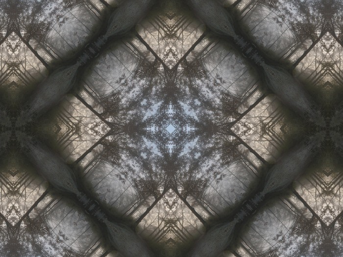 Path with Frost
