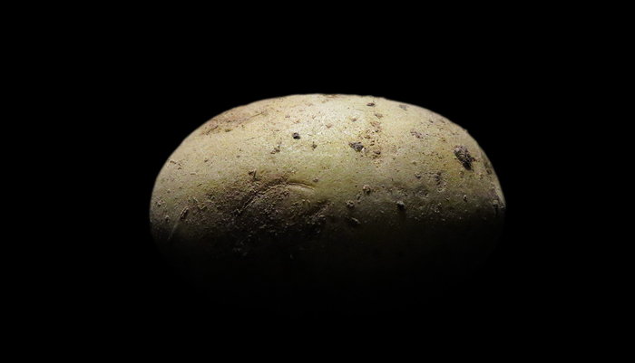 Potato
