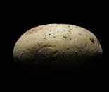 Potato