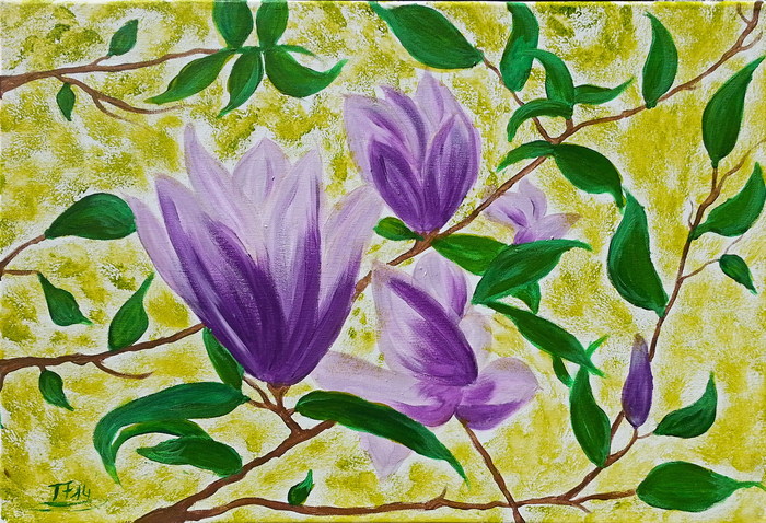Lila Magnolia