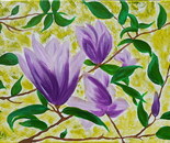 Lila Magnolia