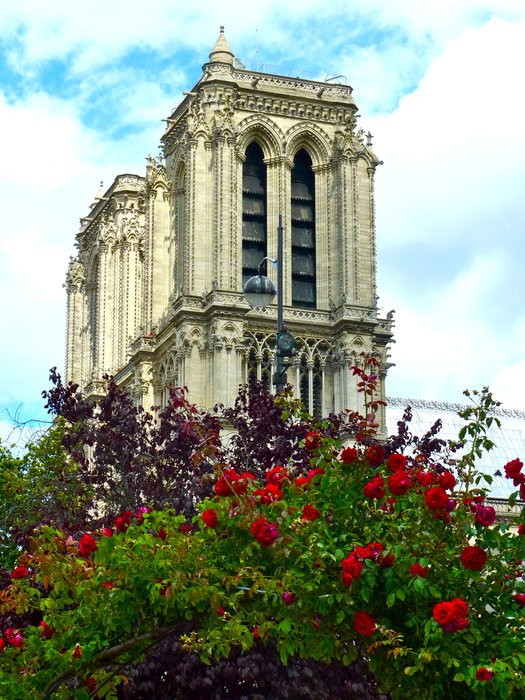 feasting Notre Dame in greens and reds