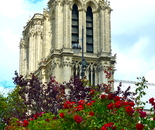 feasting Notre Dame in greens and reds
