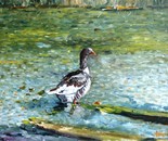 wild geese